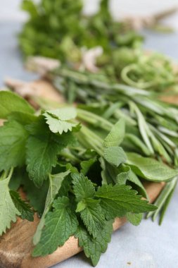 Gri masada farklı yeşil otlar, yakın plan.