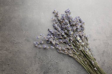Gri masanın üstünde bir demet aromatik lavanta çiçeği, üst manzara. Metin için boşluk