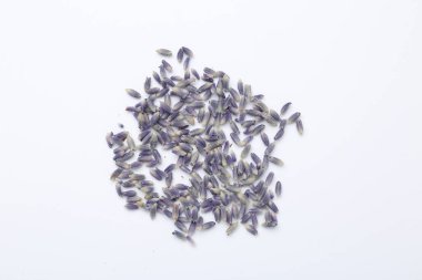 Beyaz arka planda kurumuş lavanta çiçekleri, düz uzanmış.