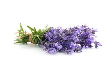 Beyaz bir demet güzel lavanta çiçeği