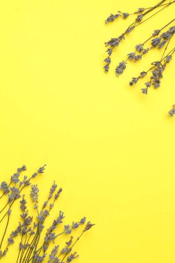 Sarı arka planda lavanta çiçekleri, düz bir zemin. Metin için boşluk
