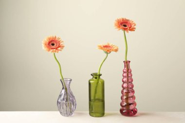 Beyaz masadaki cam vazolarda açık gri arka planda güzel Gerbera çiçekleri