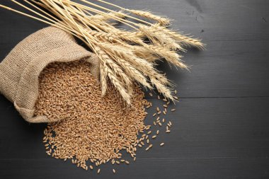 Çuval bezi torbasında buğday taneleri ve siyah tahta masada çivili kazıklar düz yerde. Metin için boşluk