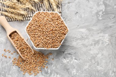 Kasede buğday taneleri, gri masada kepçeler ve çiviler düz yerde. Metin için boşluk