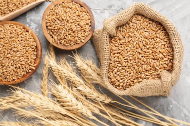 Gri masadaki buğday taneleri ve çiviler düzdü.