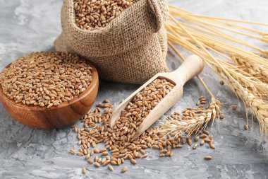 Gri masada buğday taneleri ve çiviler, yakın plan.