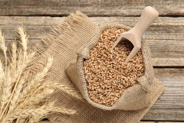 Çuval bezi torbasında buğday taneleri, tahta masada kepçeler ve çiviler.