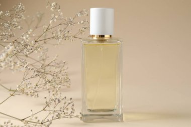 Terfi ettim. Bej arka planda kozmetik ürünleri ve gypthe çiçekleri, yakın plan.