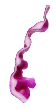 Bir dilim taze kırmızı lahana beyaza izole edilmiş.