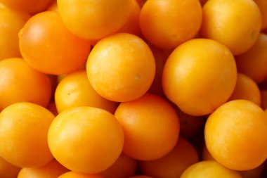 Arka plan olarak olgun sarı kiraz erikleri, yakın plan