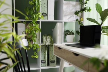 Biyofilik iç tasarım. Laptop ve ev bitkileriyle şık bir iş yeri.