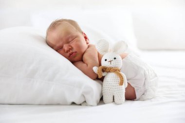 Sevimli yeni doğmuş bebek yastıkta uyuyor ve oyuncak tavşan içeride.
