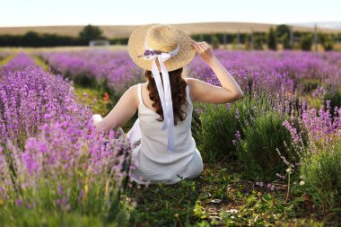 Hasır şapkalı kadın güzel lavanta tarlasında oturuyor.