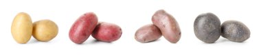 Beyaza izole edilmiş farklı çiğ patates türleri.