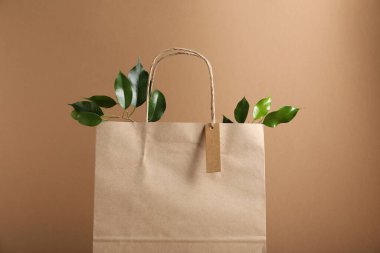 Çevre dostu ambalaj. Kese kağıdı, karton etiket ve açık kahverengi arkaplanda yapraklar