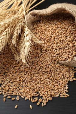 Çuval bezinde buğday taneleri ve siyah ahşap masada çiviler, yakın plan.