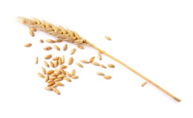 Kurumuş buğday kulağı ve tohumlar beyaz üzerine izole edilmiş.