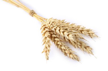 demet buğday kulakları üzerine beyaz izole