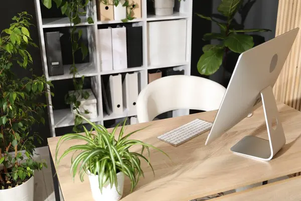 Ofisinde modern bilgisayar ve çiçek dekoru olan şık bir iş yeri. Biyofilik iç tasarım