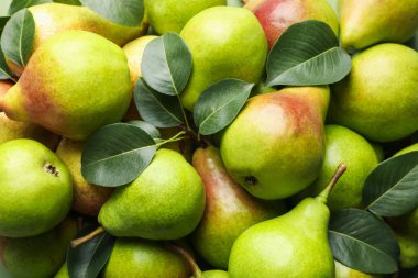 Birçok olgun armut arka plan olarak, yakın plan