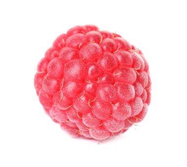 Beyaza izole edilmiş taze bir ahududu.