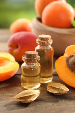 Şişelerdeki, tohumlardaki ve olgun kayısılardaki yağlar ahşap masada, yakın plan.