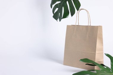 Çevre dostu ambalaj. Kağıt torba ve beyaz arkaplanda yapraklar, metin için boşluk