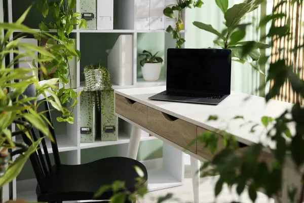 Biyofilik iç tasarım. Laptop ve ev bitkileriyle şık bir iş yeri.