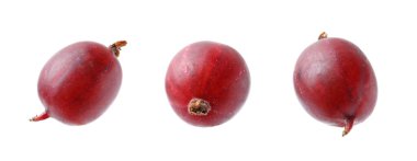 Beyaz arka planda taze kırmızı bektaşi üzümü, set