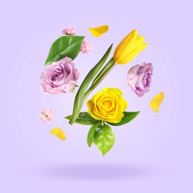 Aromatik çiçekler, taç yaprakları ve yeşil yapraklar açık gri arka plana düşüyorlar