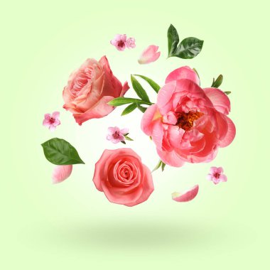 Açık yeşil arka planda havada güzel çiçekler ve yapraklar