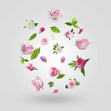 Aromatik çiçekler, taç yaprakları ve yeşil yapraklar açık gri gradyan arkaplana düşüyorlar