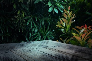 Ormandaki tahta masa. Tropikal bitkilere karşı boş yüzey. Tasarım için alanı olan poster