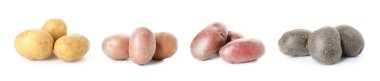 Beyaza izole edilmiş farklı çiğ patates türleri.