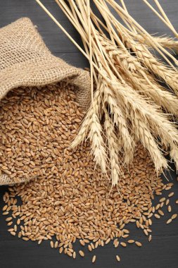 Çuval bezinde buğday taneleri ve siyah ahşap masada çivili kazıklar, düz uzanmış.