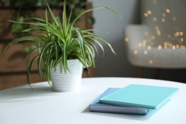 Bulanık ışıklara karşı beyaz masada defterler ve ev bitkileri