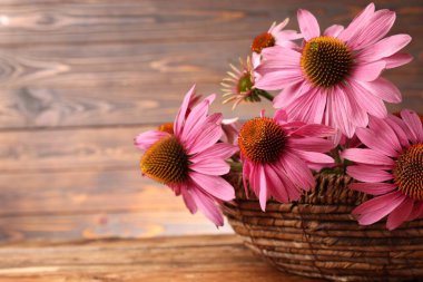 Hasır sepetteki güzel Echinacea çiçekleri ahşap masada, yakın plan. Metin için boşluk