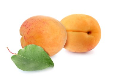 Beyaza izole edilmiş taze kayısılar. Yaz meyvesi