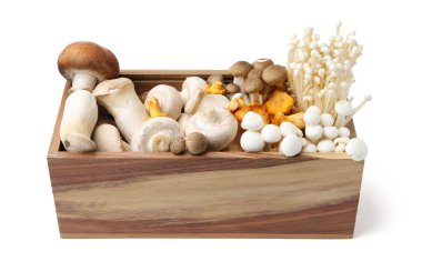 Beyaz sandıktaki farklı çiğ mantarlar.