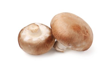 Taze çiğ şampiyon mantarları beyaza izole edilmiş.