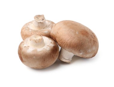 Taze çiğ şampiyon mantarları beyaza izole edilmiş.