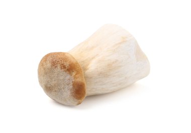 Beyaza izole edilmiş çiğ eringii mantarı.