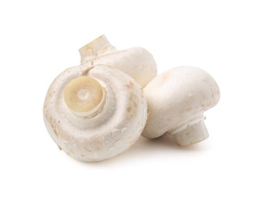 Taze çiğ şampiyon mantarları beyaza izole edilmiş.