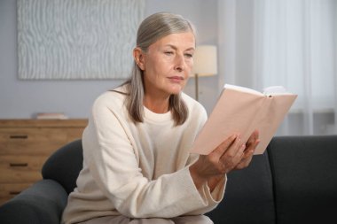 Evdeki kanepede kitap okuyan güzel bir son sınıf öğrencisi.