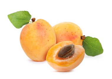 Beyaza izole edilmiş taze kayısılar. Yaz meyvesi