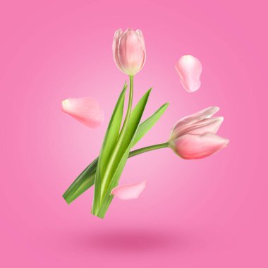 Aromatik laleler ve taç yaprakları pembe eğimli arka plana düşüyor