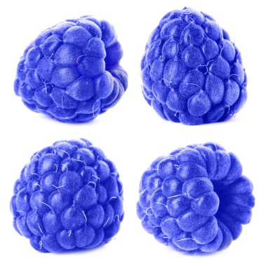 Taze mavi ahududu, beyaz üzerine izole edilmiş, set