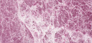 Pembe mermer yüzey dokusu. Pankart tasarımı