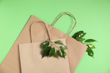Çevre dostu ambalaj. Kağıtlar ve yapraklar açık yeşil arka planda, düz yatıyordu.