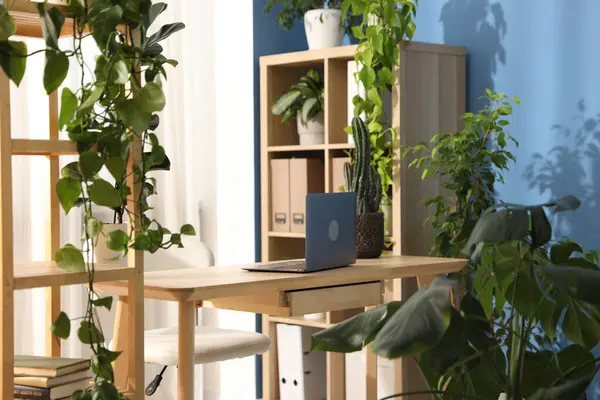 Laptop 'u ahşap masa ve çiçek dekoru olan şık bir iş yeri. Biyofilik iç tasarım